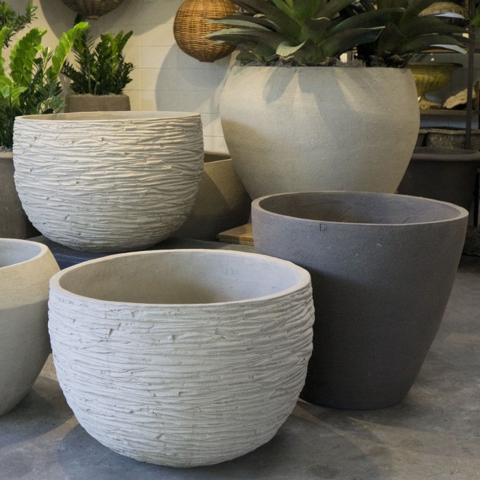 Large clay plant pots