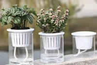 Bottom watering plant pots