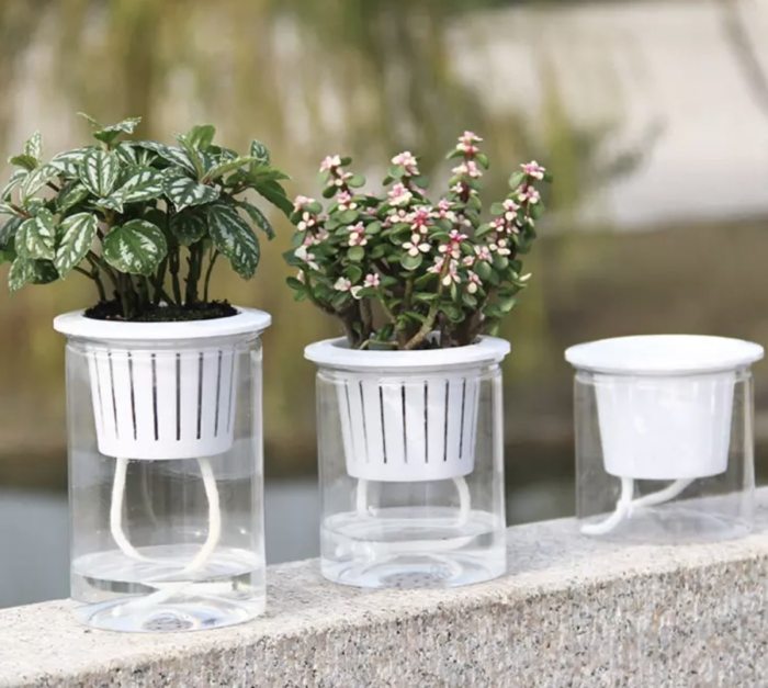 Bottom watering plant pots