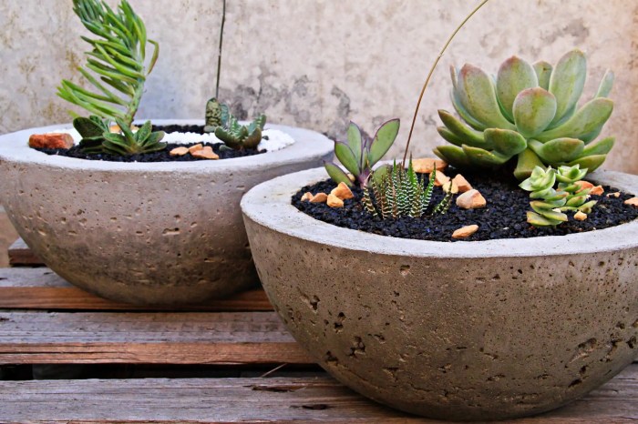 Diy cement plant pots